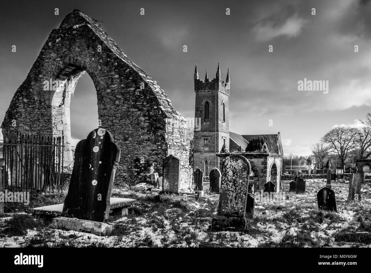 How Old Is Mikasa Ackerman In Solo Leveling Clarifying Her Anime Home